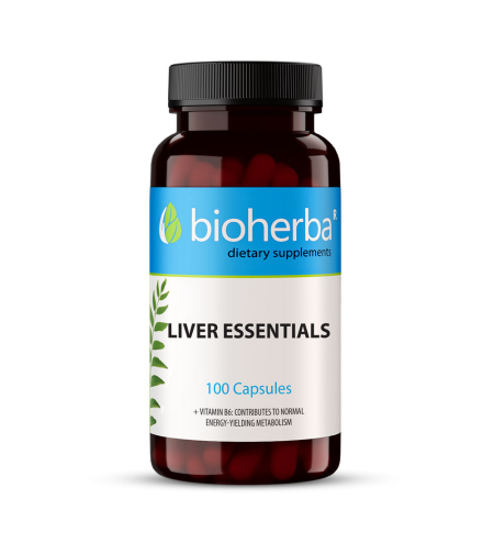 БИЛКОВА ФОРМУЛА ЗА ЧЕРНИЯ ДРОБ / LIVER ESSENTIALS , 100 капсули, Биохерба