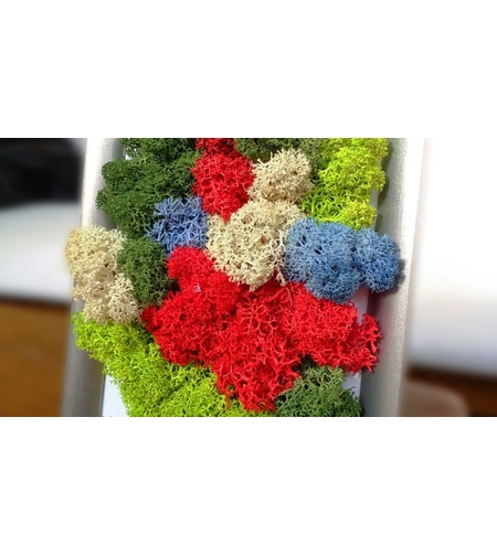 Декорация от Исландски мъх – естествена красота и уют