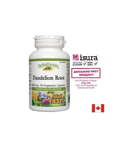 Dandelion Root/ Глухарче (корен) 425 mg x 90 софтгел капсули Natural Factors