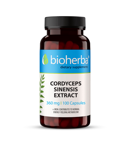 КОРДИЦЕПС / CORDYCEPS SINENSIS EXTRACT, 100 капсули, 360 мг, Биохерба