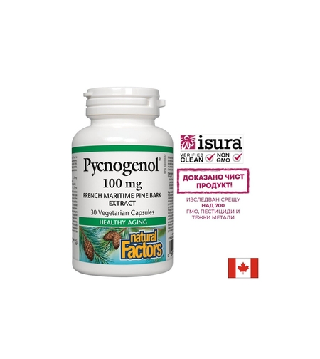 Pycnogenol® - Пикногенол, 100 mg, 30 V-капсули Natural Factors