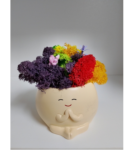 Сувенир от Исландски мъх