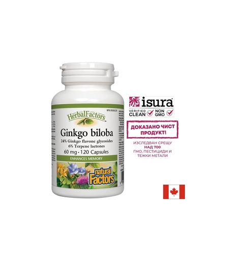 Ginkgo Biloba/ Гинко Билоба 60 mg х 120 капсули Natural Factors