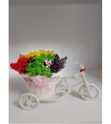 Сувенир от Исландски мъх