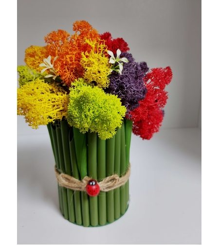 Сувенир от Исландски мъх