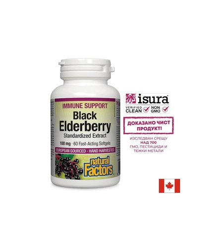 Black Elderberry Standardized Extract / Черен бъз /Стандартизиран екстракт/, 100 mg, 60 бързоусвоими софтгел капсули Natural Factors