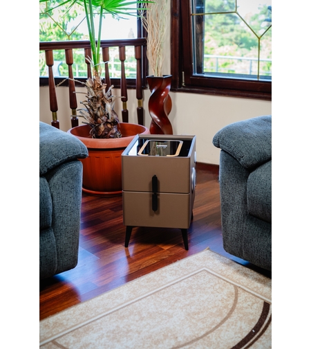 Смарт Шкаф MINI - безжично зареждане, Bluetooth стерео тонколона 20W, USB-A & USB-C, LED осветление (Кафяв)