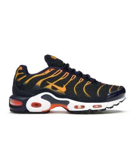 Air Max Tn Plus Blue Void University Gold
