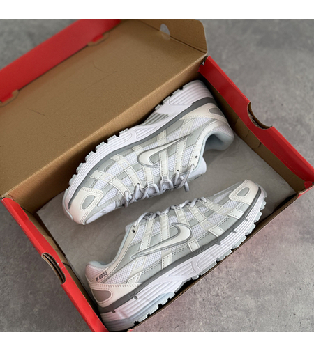 Nike P-6000 White Silver
