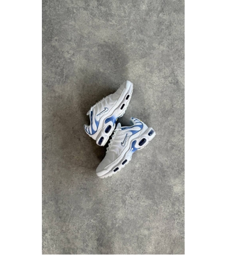 Air Max Plus TN  'Ashen Slate”
