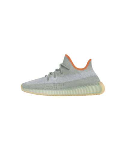 Adidas Yeezy Boost 350 V2 