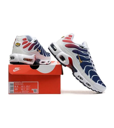 NIKE AIR MAX PLUS TN 'PSG'