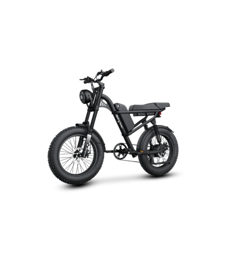 Електрически велосипед Riding Times Z8S