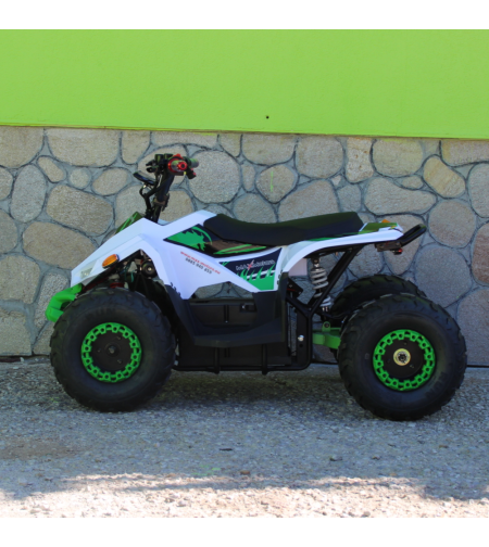 Eлектрическо ATV MaxMotors Mudhawk 1200W