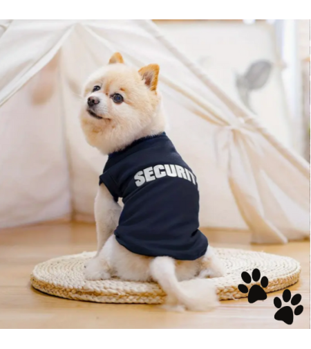 Дрешка Security