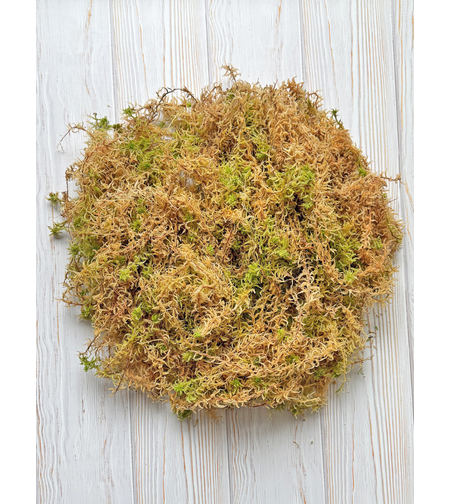 Премиум сфагнумов мъх