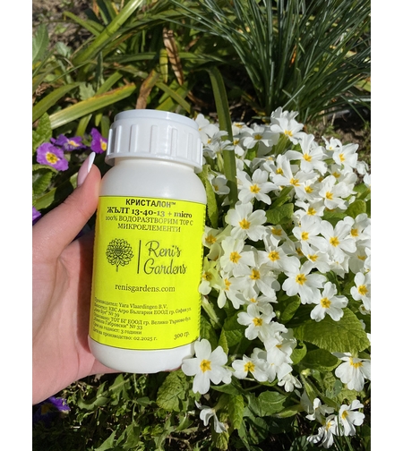 Жълт кристалон