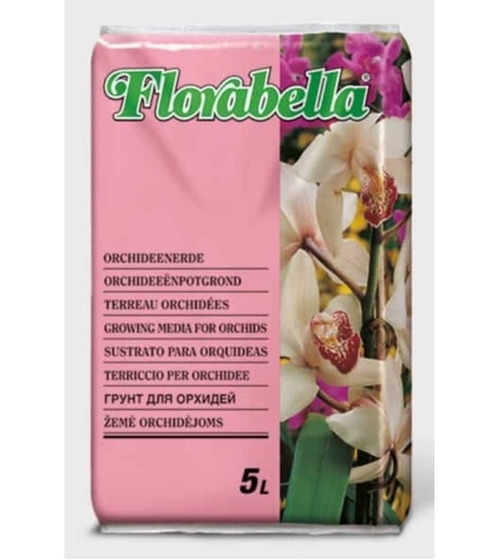 Florabella Орхидея