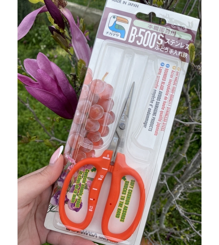 Професионална неръждаема градинска/цветарска ножица Chikamasa B-500S