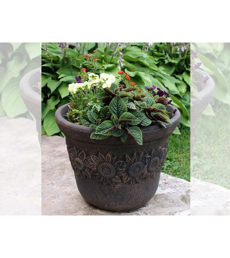 Саксия Планика - кръгла средна