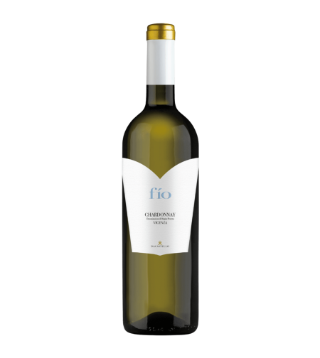 Chardonnay Vicenza D.O.C.