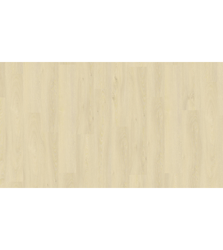 Elegance Rigid 55 № 6008 – Modern Oak Light Natural