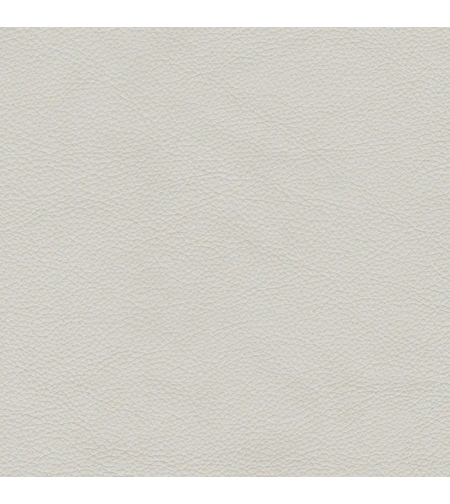 Solid Color 3017