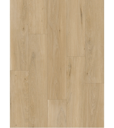 SPC Floor V Synchro WIRC55720 5мм