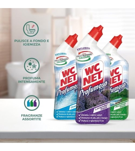 WC ГЕЛ WC NET МИКС 700 МЛ.