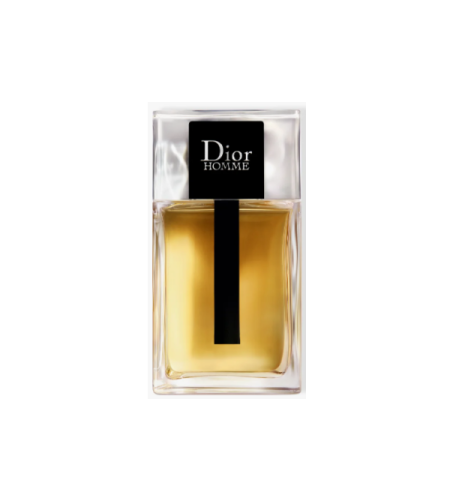 Dior Homme Eau de Toilette spray 100 ml