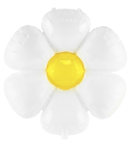 Фолиев балон 