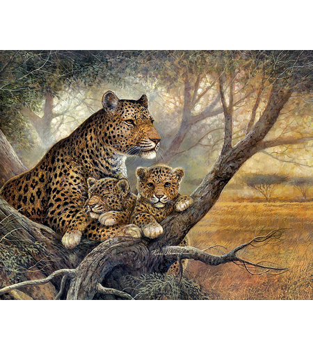 Картина по номера 40х50 см. - 30841