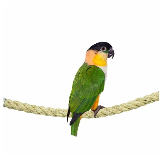 Въже от Сизал Back Zoo Nature – 18 мм, 100 см