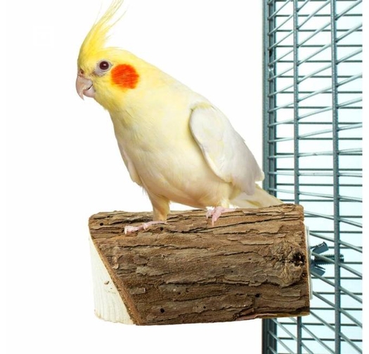 Кацалка Back Zoo Nature за Малки Видове Папагали