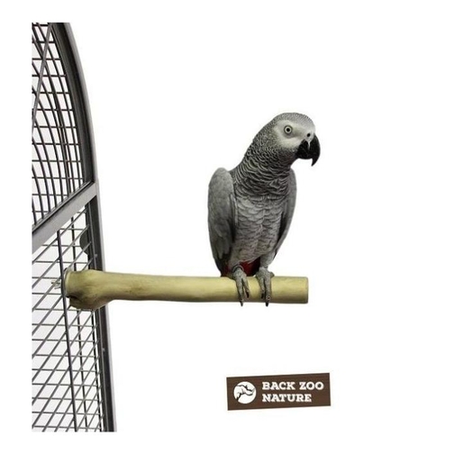 Кацалка Java Back Zoo Nature – Java Дърво – Супер Твърда – Индонезия
