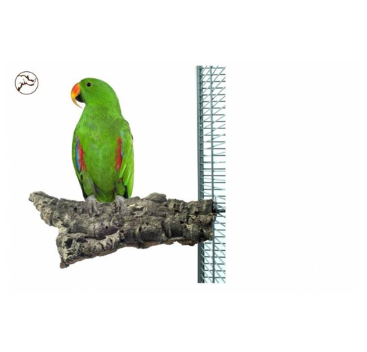 Голяма Дъвчаща Коркова Кацалка Back Zoo Nature