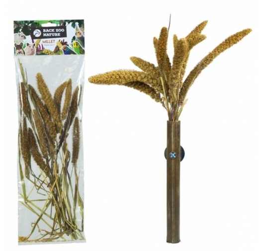 Италийска сетария (Setaria italica) за папагали Back Zoo Nature