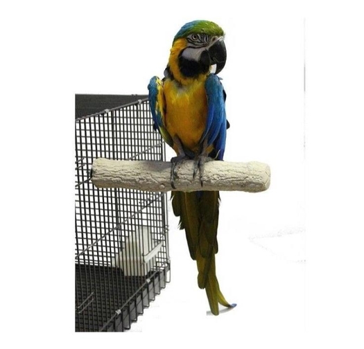 Абразивна Кацалка Back Zoo Nature за Нокти и Клюн – 35 см x 55 мм