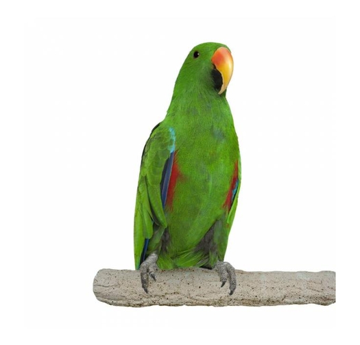 Каменна Абразивна Кацалка Back Zoo Nature за оформяне на нокти и клюн – 28 см x 40 мм