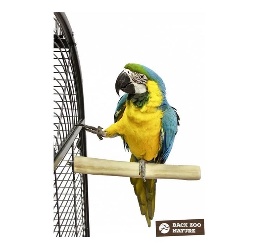 Java Back Zoo Nature – Единичен Клон – Супер Здраво Дърво – Голям