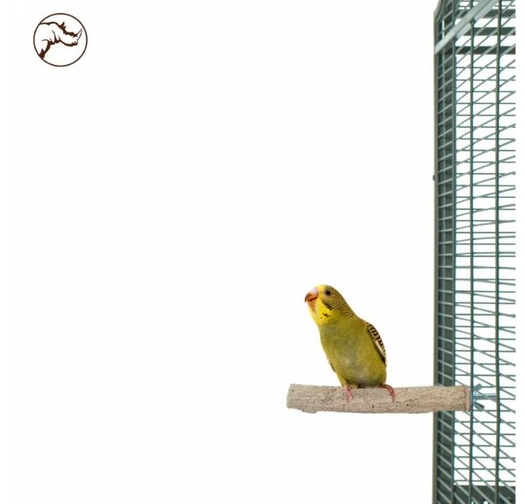 Каменна Кацалка Back Zoo Nature за Малки Папагали S – 10 см