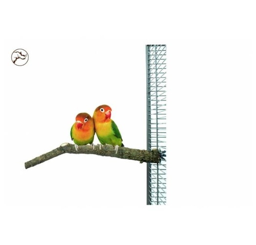Кацалка за Папагали Back Zoo Nature – XS Размер