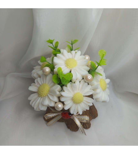 Маргаритки в дървено пънче