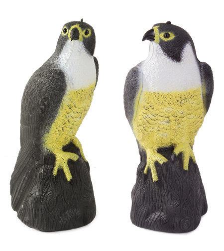 Птицегон Falcon на скорци гълъби и мишки