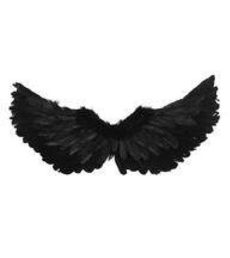 BLACK WINGS 60X25 (480)