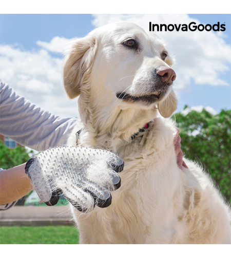 Ръкавица за Сресване и Масажиране на Домашни Любимци InnovaGoods