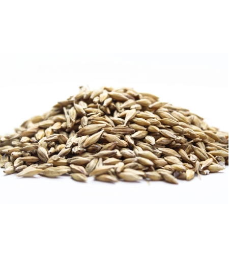 Organic OAT SEEDS | Avena Sativa | Oat Seeds Tea | Herbal Tea | Oatstraw Seeds | Dried Seeds | Organic Seeds | Organic Herb