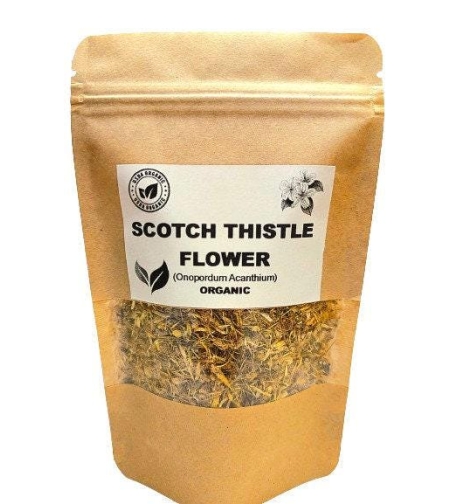 Organic SCOTCH THISTLE FLOWER | onopordum acanthium | scotch thistle tea | herbal tea | dried flower | herba | tea | organic herbs | flower