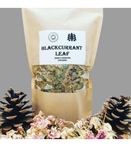 Organic BLACKCURRANT LEAF | Ribes nigrum , Loose Tea , Loose Dried Herbs , Dried Loose Herb | Blackcurrant Leaf Tea | Herbal Tea | Herba