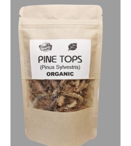Organic PINE TOPS | Pinus sylvestris | Wild Picked | Pine Tops for Pine Tops Tea Premium Quality Wildharvested Pine Tops Tea